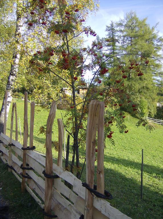 Haus Lukas Bed & Breakfast Seefeld in Tirol Exterior photo